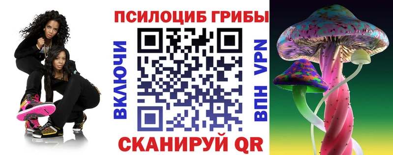мега ССЫЛКА  Елизово  Галлюциногенные грибы Psilocybine cubensis  где найти наркотики 