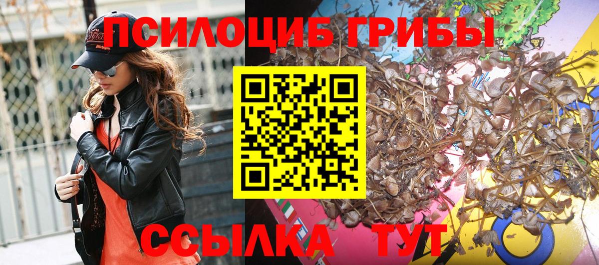 Галлюциногенные грибы Magic Shrooms  Вход с VPN  Елизово 