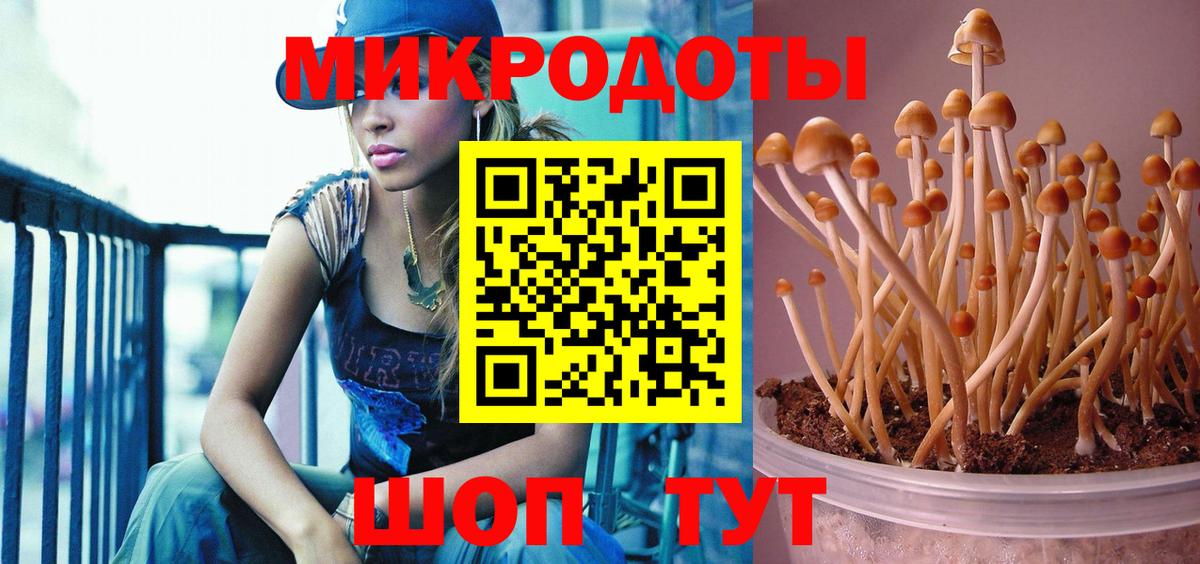 A-PVP СОЛЬ   КОКАИН  Вход с VPN  Елизово  ГАШ  Гашиш  МЕФ кристаллы  МАРИХУАНА 