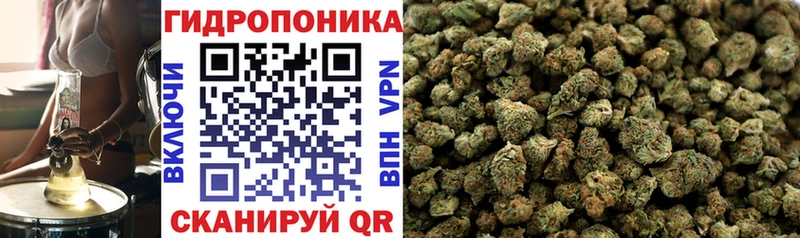 наркотики  Елизово  МАРИХУАНА индика 